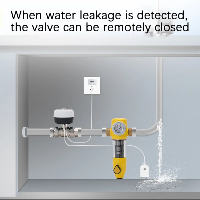 Smart Home Smart Valve DN15 DN20 DN25 Water Gas Shutoff WIFI APP Control Wireless Automated Ball Valve Work With eWeLink