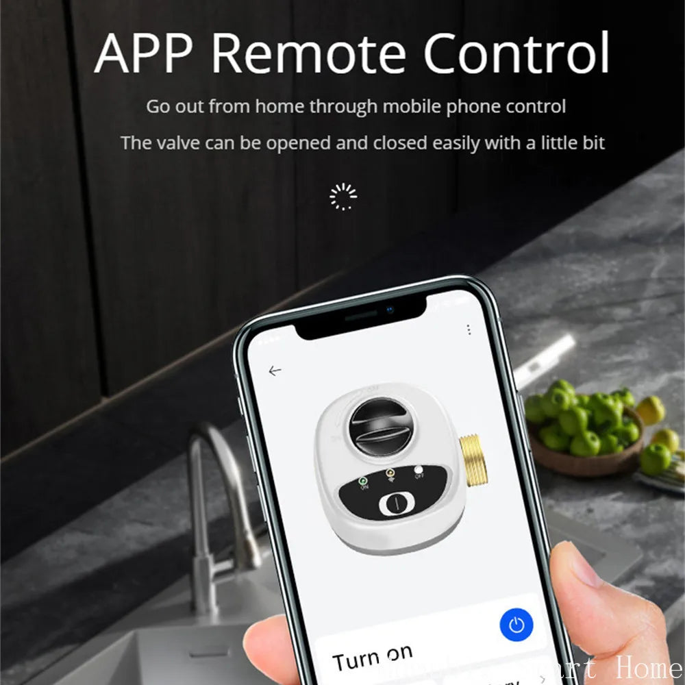 Smart Home Smart Valve DN15 DN20 DN25 Water Gas Shutoff WIFI APP Control Wireless Automated Ball Valve Work With eWeLink