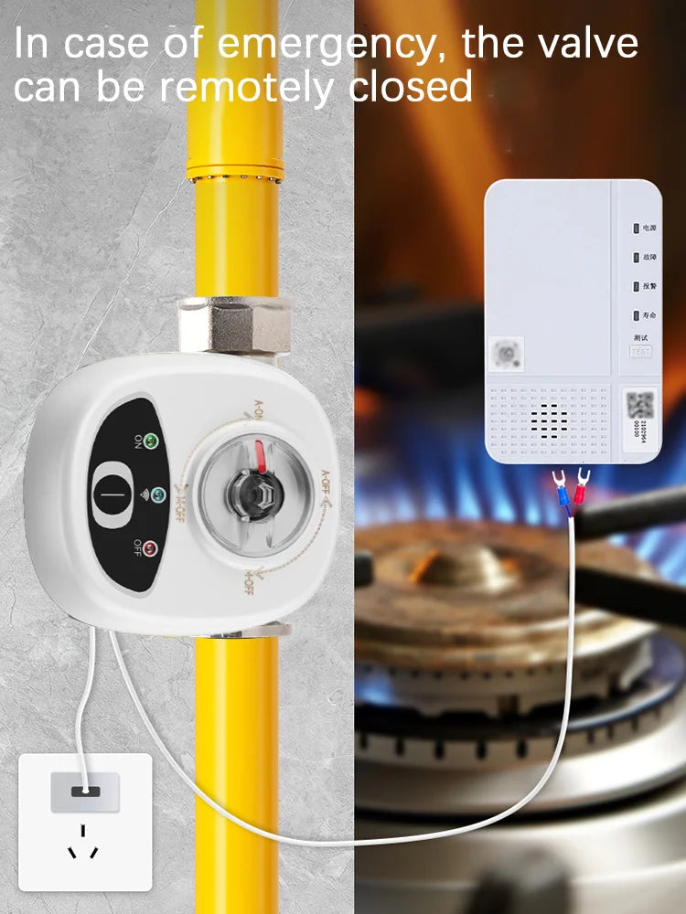 Smart Home Smart Valve DN15 DN20 DN25 Water Gas Shutoff WIFI APP Control Wireless Automated Ball Valve Work With eWeLink